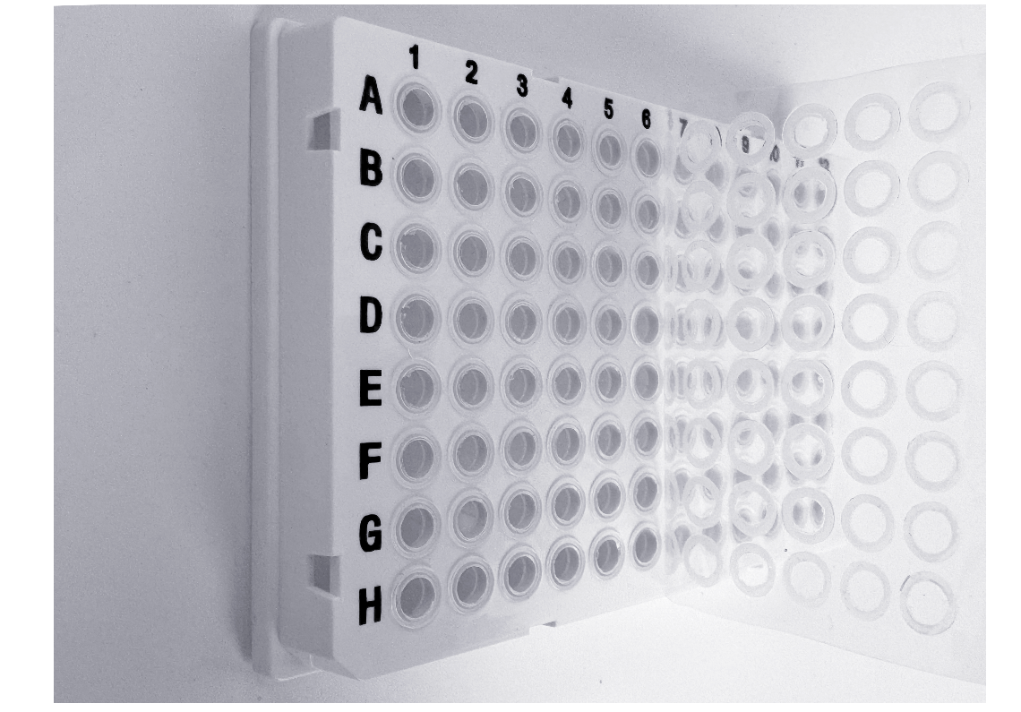 SealBio-1